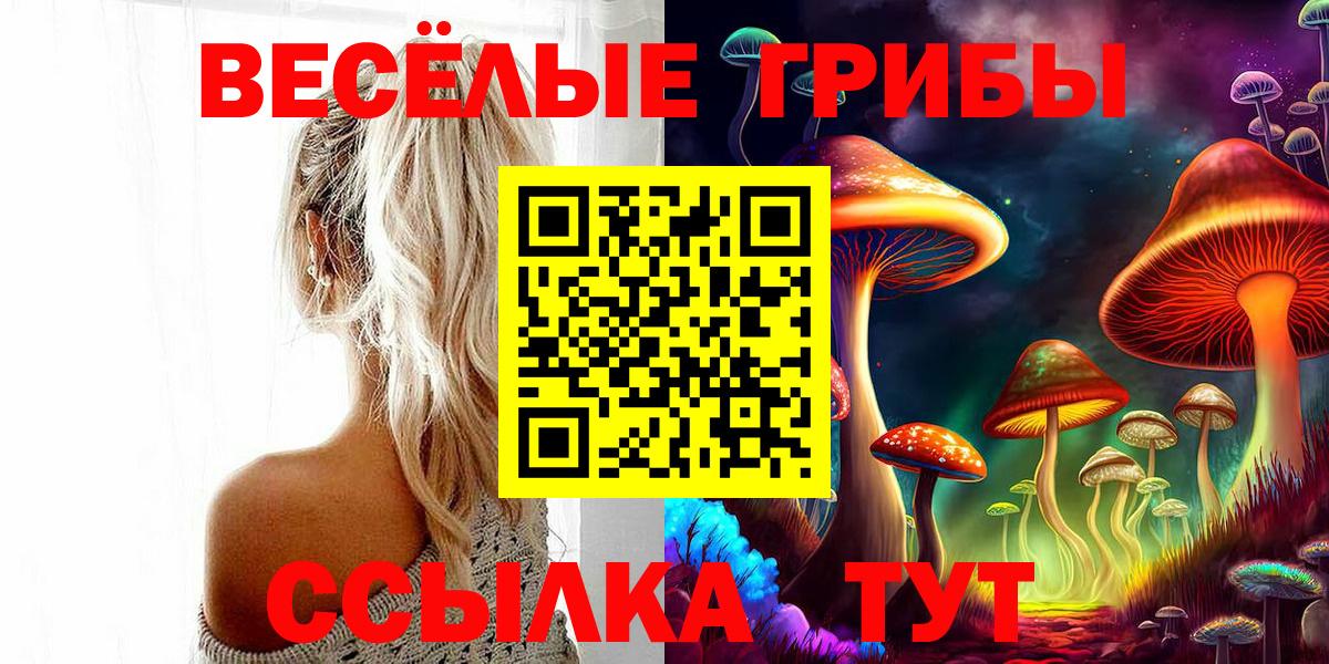 Псилоцибиновые грибы Magic Shrooms  Вход с VPN  Чебаркуль  Галлюциногенные грибы Psilocybine cubensis 